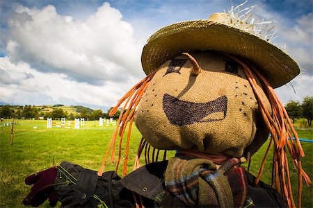 Head and shoulders landscape view of a scarecrow in a field on a sunny day Stock Photo - Budget Royalty-Free & Subscription, Code: 400-07771849