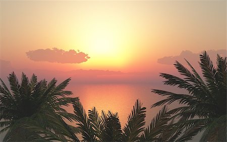 simsearch:400-07093200,k - tropical sunset above the palms Fotografie stock - Microstock e Abbonamento, Codice: 400-07771937