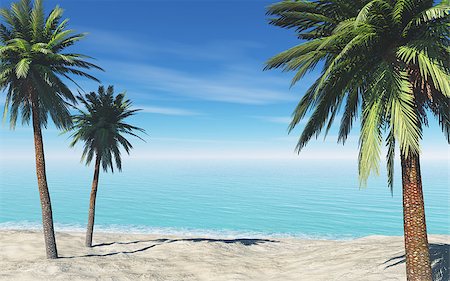 simsearch:400-07093200,k - tropical beach with palms Fotografie stock - Microstock e Abbonamento, Codice: 400-07771938