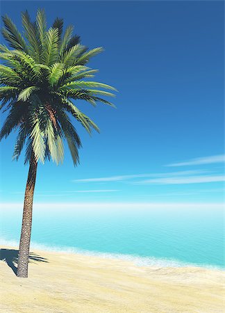 simsearch:400-07093200,k - tropical beach with palm Fotografie stock - Microstock e Abbonamento, Codice: 400-07771939