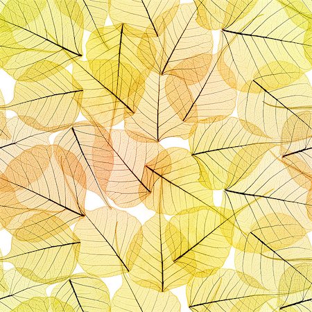 Seamless Background - Autumn Leaves Pattern texture , golden color Photographie de stock - Aubaine LD & Abonnement, Code: 400-07772096