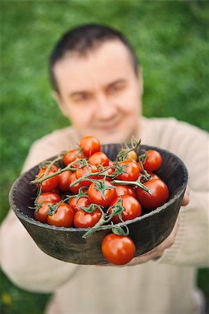 simsearch:400-08552542,k - Tomato harvest. Farmers hands with freshly harvested tomatoes. Stock Photo - Budget Royalty-Free & Subscription, Code: 400-07772187
