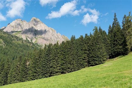 Mountains, forest and meadow in the Dolomites - San Martino di Castrozza Foto de stock - Royalty-Free Super Valor e Assinatura, Número: 400-07772470