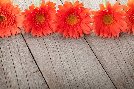 simsearch:400-08298802,k - Wooden background with orange gerbera flowers and copy space Photographie de stock - Aubaine LD & Abonnement, Code: 400-07773128