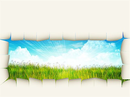 View on the spring, summer grass field through ripped paper background. Stock Photo - Budget Royalty-Free & Subscription, Code: 400-07773493