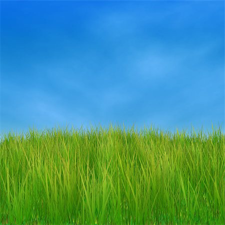 simsearch:400-05921307,k - Summer nature background with 3d green grass and blue sky. Foto de stock - Super Valor sin royalties y Suscripción, Código: 400-07773507