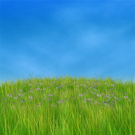 simsearch:400-08817566,k - Summer nature background with 3d green grass and white daisies. Photographie de stock - Aubaine LD & Abonnement, Code: 400-07773509