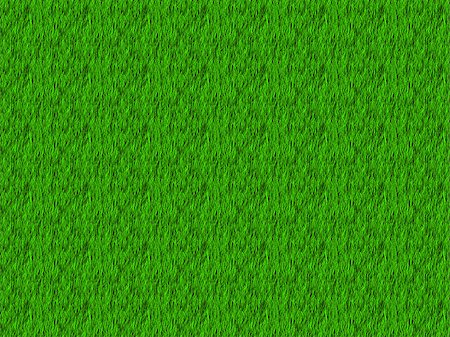 simsearch:400-05318999,k - Illustration of fresh green grass texture background. Photographie de stock - Aubaine LD & Abonnement, Code: 400-07773515