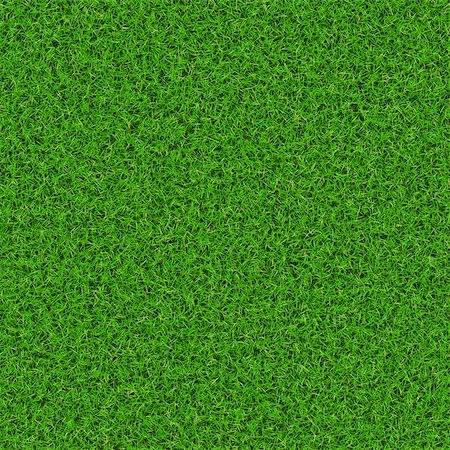Abstract fresh green grass field texture background. Fotografie stock - Microstock e Abbonamento, Codice: 400-07773516