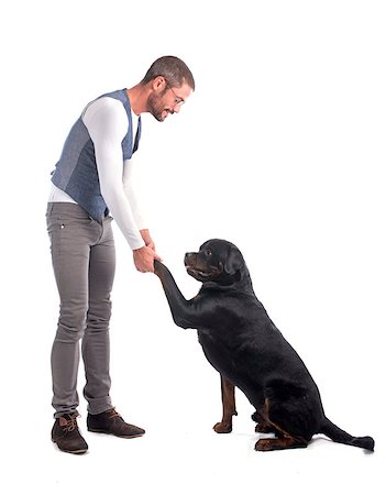 rottweiler - man and rottweiler in front of white background Photographie de stock - Aubaine LD & Abonnement, Code: 400-07773999