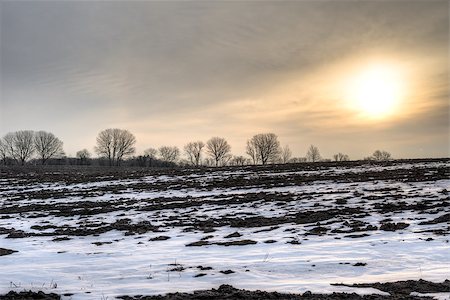 dfaagaard (artist) - Sunrise on a calm early spring morning with a barren field and trees ind the horizon. Stock Photo - Budget Royalty-Free & Subscription, Code: 400-07796848