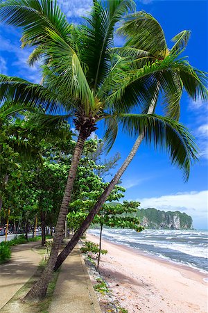 Beach Path Along The Sea. Krabi Province, Thailand Foto de stock - Super Valor sin royalties y Suscripción, Código: 400-07792102