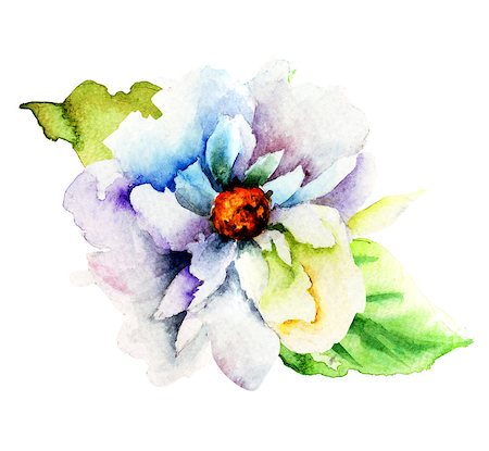 peony art - Decorative blue flower, watercolor illustration Stock Photo - Budget Royalty-Free & Subscription, Code: 400-07792275