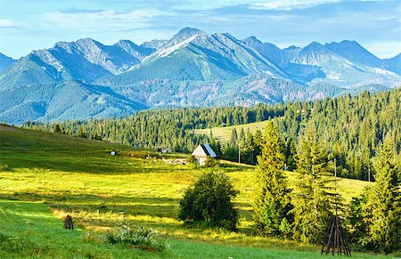 simsearch:400-05291390,k - Summer mountain village outskirts with barn and flock of sheep  near (Tatra range behind, Poland) Stock Photo - Budget Royalty-Free & Subscription, Code: 400-07792744