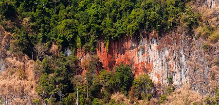 simsearch:400-04835760,k - Trees and limestone rocks, Khao Sok National Park, Thailand Foto de stock - Super Valor sin royalties y Suscripción, Código: 400-07817113