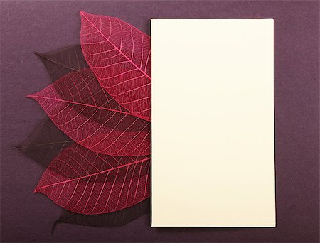 simsearch:400-07818732,k - Empty greeting post card on violet cardboard background Stock Photo - Budget Royalty-Free & Subscription, Code: 400-07817213