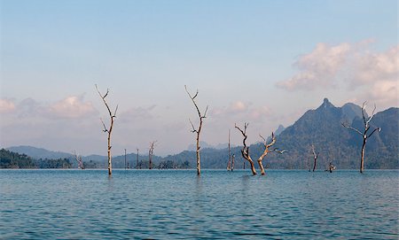 simsearch:400-04835760,k - The landscape with lake, tree and limestone rocks. Cheow Lan Lake or Rajjaprabha Dam Reservoir, Thailand Foto de stock - Super Valor sin royalties y Suscripción, Código: 400-07817608