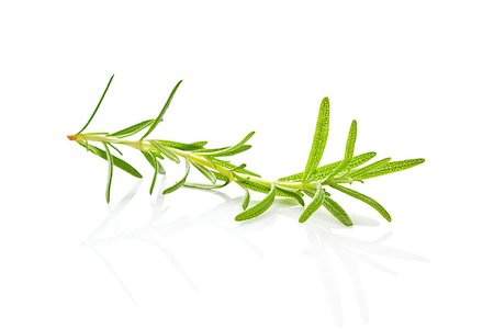 simsearch:400-05381074,k - Rosemary isolated on white background. Culinary aromatic herbs. Stock Photo - Budget Royalty-Free & Subscription, Code: 400-07817702