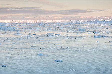 disko island - Arctic landscape in Greenland around Ilulissat with mountains and icebergs Stock Photo - Budget Royalty-Free & Subscription, Code: 400-07817783