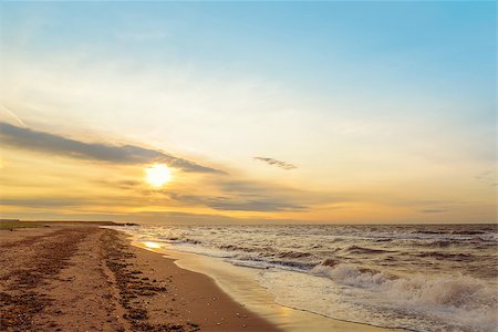 Ocean coast in the morning (Cedar Dunes Provincial Park, Prince Edward Island, Canada) Stock Photo - Budget Royalty-Free & Subscription, Code: 400-07818138