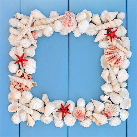 simsearch:400-07818974,k - Starfish and white sea shell collection forming a frame over wooden blue background. Stock Photo - Budget Royalty-Free & Subscription, Code: 400-07818428