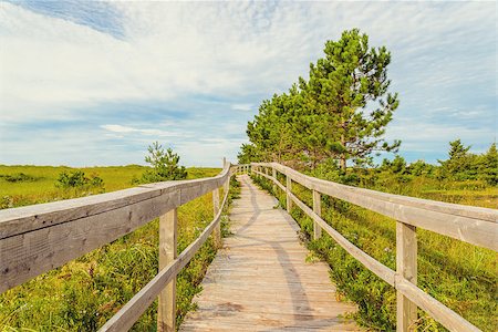 príncipe - Wooden Boardwalk  (Cedar Dunes Provincial Park, Prince Edward Island, Canada) Foto de stock - Super Valor sin royalties y Suscripción, Código: 400-07818482