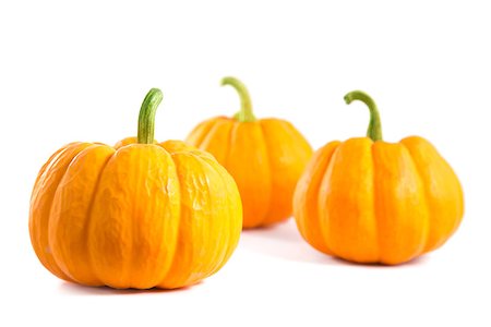 simsearch:400-08400066,k - Small decorative orange pumpkins, isolated on white background Photographie de stock - Aubaine LD & Abonnement, Code: 400-07818687