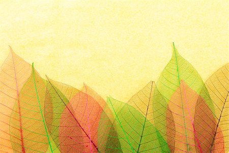 paleka (artist) - Multicolored ornate leaves on yellow cardboard background. Stock photo Photographie de stock - Aubaine LD & Abonnement, Code: 400-07818734