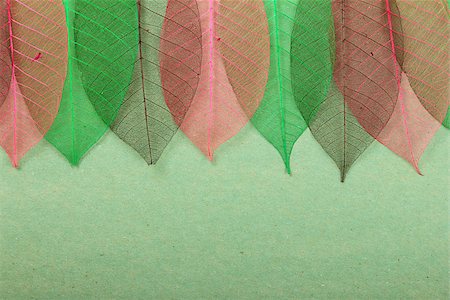 simsearch:400-07818732,k - Multicolored ornate leaves on green cardboard background. Stock photo Stock Photo - Budget Royalty-Free & Subscription, Code: 400-07818732