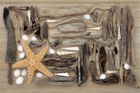 simsearch:400-07818974,k - Starfish and sea shell collage with driftwood over oak wood  background. Stock Photo - Budget Royalty-Free & Subscription, Code: 400-07818762