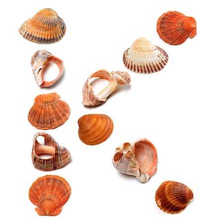 simsearch:841-03870347,k - Letter K composed of seashells. Isolated on white background. Foto de stock - Super Valor sin royalties y Suscripción, Código: 400-07819037