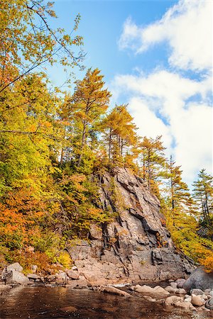 simsearch:400-07570144,k - Trees growing on rocks above stream (Near Mary Ann Falls, Highlands National Park, Cape Breton, Nova Scotia, Canada) Photographie de stock - Aubaine LD & Abonnement, Code: 400-07824036