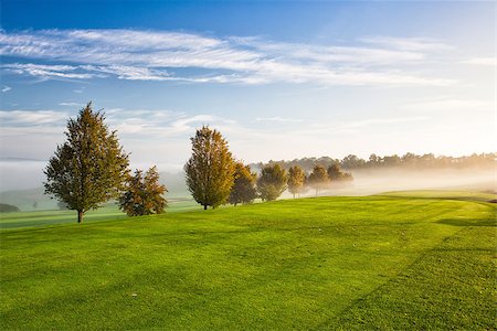 On the empty golf course in the morning mist Stock Photo - Budget Royalty-Free & Subscription, Code: 400-07824339