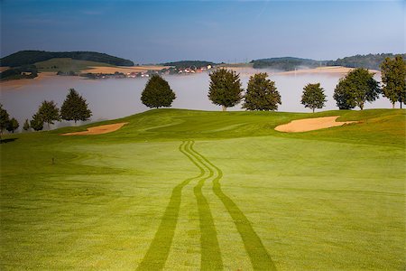 simsearch:400-07218299,k - Summer golf course in the morning mist Stock Photo - Budget Royalty-Free & Subscription, Code: 400-07824340