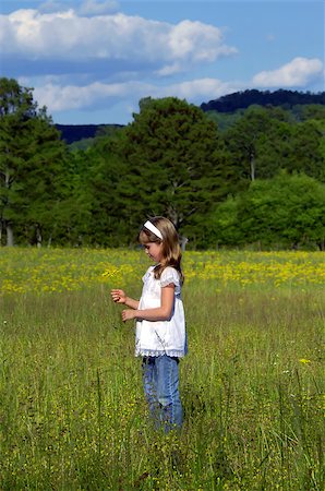 Beautiful little girl explores a field of yellow flowers.  She is holding small bouquet and is lost in thought. She has on jeans and a white shirt. Foto de stock - Royalty-Free Super Valor e Assinatura, Número: 400-07824463