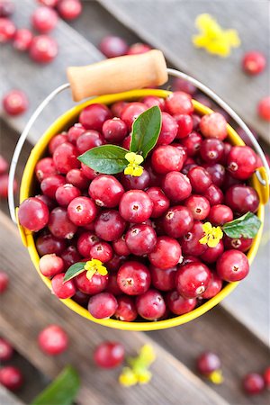 Fresh red cranberry in yellow bucket on wooden table Stock Photo - Budget Royalty-Free & Subscription, Code: 400-07825250