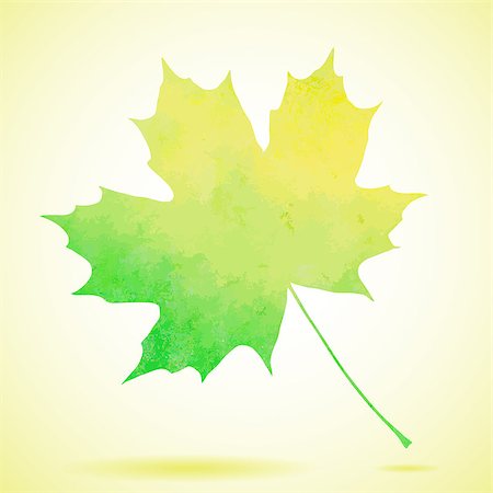 simsearch:400-07827769,k - Green watercolor painted vector autumn maple leaf background. Also available as a Vector in Adobe illustrator EPS format, compressed in a zip file. The vector version be scaled to any size without loss of quality. Foto de stock - Super Valor sin royalties y Suscripción, Código: 400-07825721