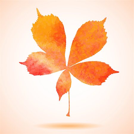 drawn images of maple leaves - Orange watercolor painted vector chestnut leaf. Also available as a Vector in Adobe illustrator EPS format, compressed in a zip file. The vector version be scaled to any size without loss of quality. Stock Photo - Budget Royalty-Free & Subscription, Code: 400-07827104