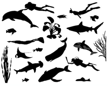 Silhouettes of divers under water among different fishes Stock Photo - Budget Royalty-Free & Subscription, Code: 400-07827100