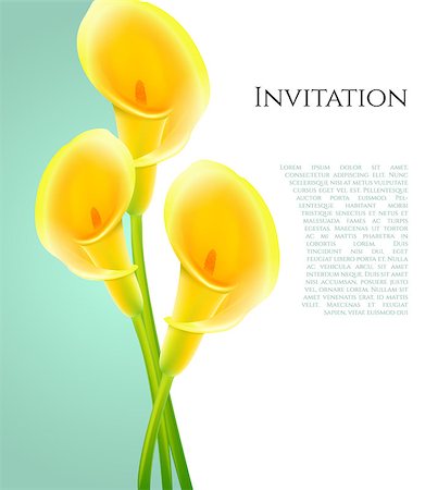 Vector illustration of Invitation with callas flowers Photographie de stock - Aubaine LD & Abonnement, Code: 400-07827392