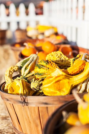 simsearch:400-04744313,k - barrels full of seasonal heirloom pumpkins and other vegetables at fall Foto de stock - Super Valor sin royalties y Suscripción, Código: 400-07828254