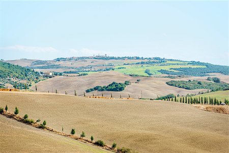 simsearch:400-07296321,k - Image near Pienza with beautiful landscape in Tuscany, Italy Foto de stock - Super Valor sin royalties y Suscripción, Código: 400-07828428