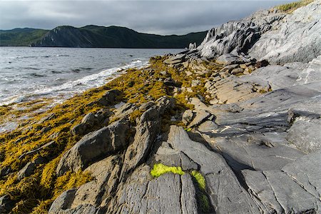 Rocks and seaweed cover the shore of a bay in the province of Newfoundland and Labrador Foto de stock - Super Valor sin royalties y Suscripción, Código: 400-07829032