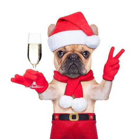 simsearch:400-07822392,k - santa claus dog toasting cheers with champagne glass and victory or peace fingers, isolated on white background Foto de stock - Super Valor sin royalties y Suscripción, Código: 400-07829675
