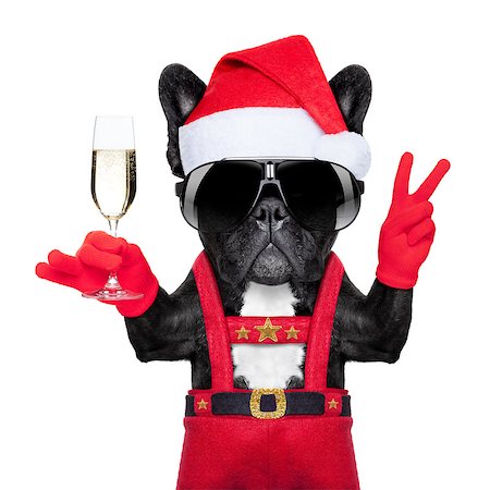 simsearch:400-07822392,k - santa claus dog toasting cheers with champagne glass and victory or peace fingers, isolated on white background Foto de stock - Super Valor sin royalties y Suscripción, Código: 400-07829694