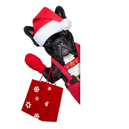 simsearch:400-08151278,k - Santa claus christmas dog with shopping bag besides a white blank banner ,isolated on white background Photographie de stock - Aubaine LD & Abonnement, Code: 400-07829699