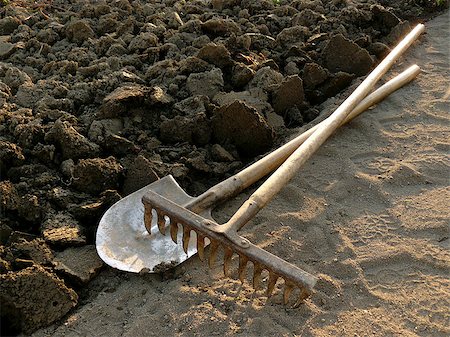 shovel in dirt - rake and spade at the edge of ploughed ground Foto de stock - Super Valor sin royalties y Suscripción, Código: 400-07820805