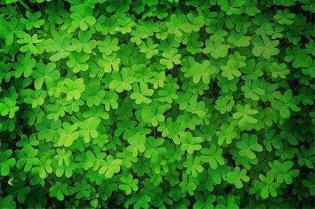 simsearch:400-07303639,k - green clover background in vintage style Photographie de stock - Aubaine LD & Abonnement, Code: 400-07821257