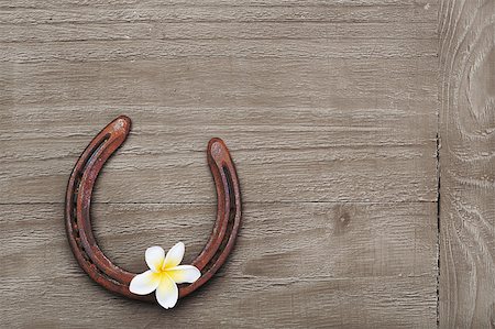 ferradura - Vintage wooden background with horseshoe and frangipani flower Foto de stock - Royalty-Free Super Valor e Assinatura, Número: 400-07821298