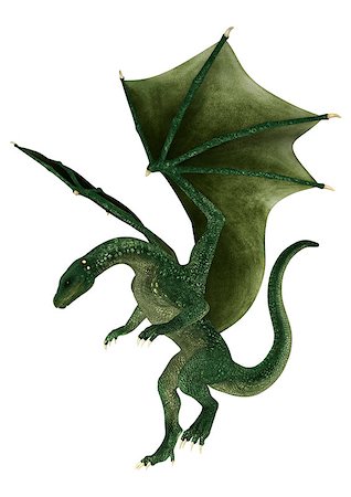 simsearch:400-08283048,k - 3D digital render of a landing green fantasy dragon isolated on white background Photographie de stock - Aubaine LD & Abonnement, Code: 400-07821390